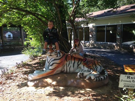 Book a national car rental car rental in roanoke regional airport (roa) in roanoke, virginia at the best prices on expedia.com. Mill Mountain Zoo in Roanoke, Virginia - Kid-friendly ...
