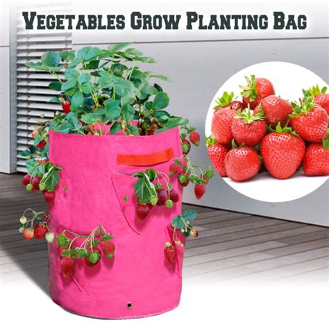3pc Strawberry Grow Bags Herb Raised Planters Patio Garden Yard