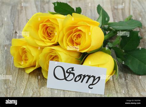 Sorry Note With Yellow Roses Bouquet On Wooden Surface Stock Photo Alamy