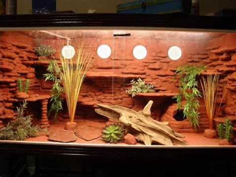 In addition to choosing what kind of tank you want, you'll have to select the right lighting, decor, and monitor the temperature. Custom Bearded Dragon Viv - YouTube
