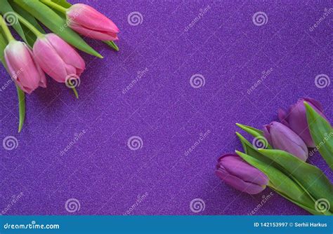 Purple And Pink Tulips On Purple Glitter Background With Copy Space
