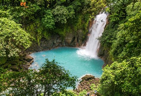 Rio Celeste Costa Rica How To Have The Best Time At The Skyblue River