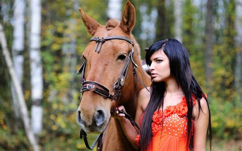 Wallpaper Id 1212038 Animal Wildlife Brunette Horse Hairstyle