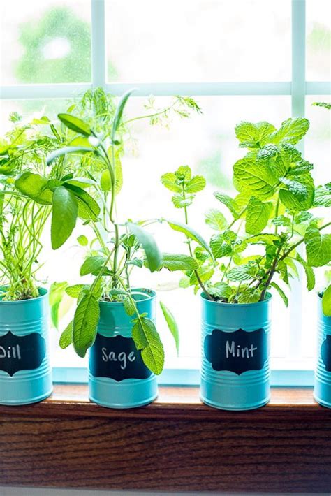 If you are looking to level up your indoor gardening. 25 Ways to Start an Indoor Herb Garden | Diy herb garden ...