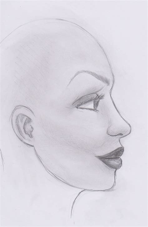 Side Profile Sketch By Shabou On Deviantart