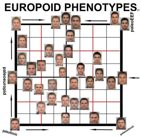 European Phenotypes Grid
