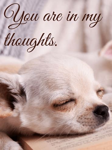 Funny thought of the day gives motivation. You are in My Thoughts - Thinking of You Card | Birthday ...