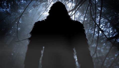 Stalked Through The Woods By A Texas Bigfoot Do You Believe The Story