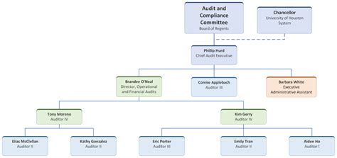 Internal Audit Org Chart University Of Houston System