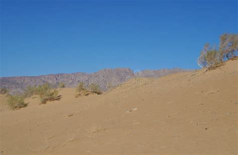 Sand Dunes In Desert Stock Photo Image Of Coast Outdoor 98216312