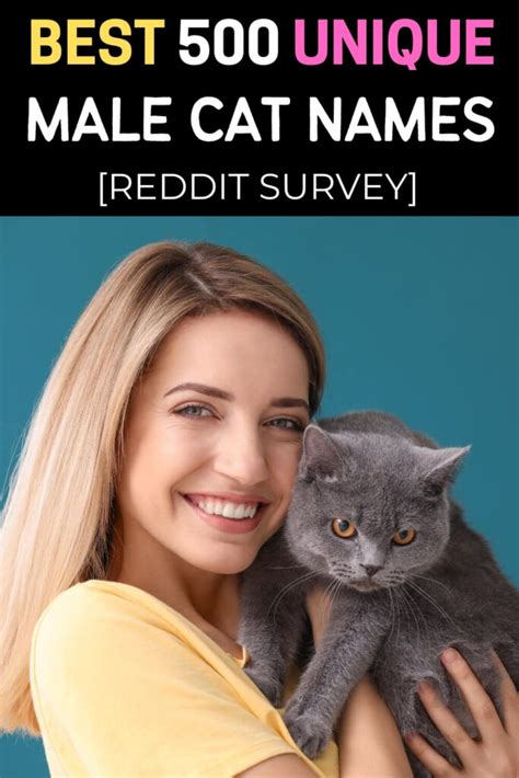 Reddit Survey Best Unique Male Cat Names That You Must Know