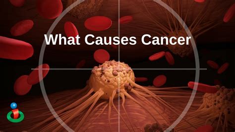 Causes Of Cancer Youtube