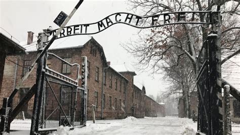 the true story behind denying the holocaust bbc news