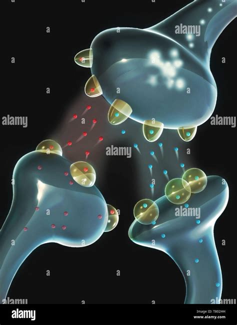 Illustration Of Pain Receptors Stock Photo Alamy