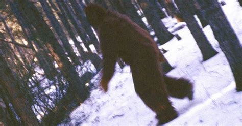Video Has Yeti Mystery Finally Been Solved Bigfoot Could