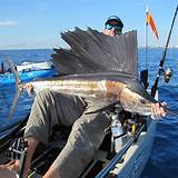 Miami Florida Fishing Charter Photos