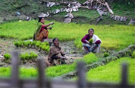 Five Women Farmers In India Growing A Better Future Female Farmer