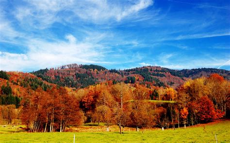 Beautiful Autumn Season Trees Grass Blue Sky Wallpaper 1680x1050