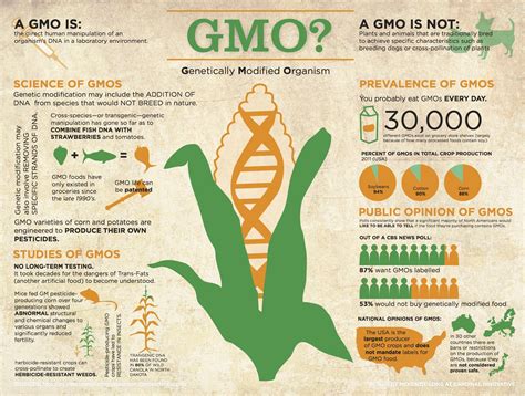 Interesting Infographic Genetically Modified Food Gmo Facts Gmo