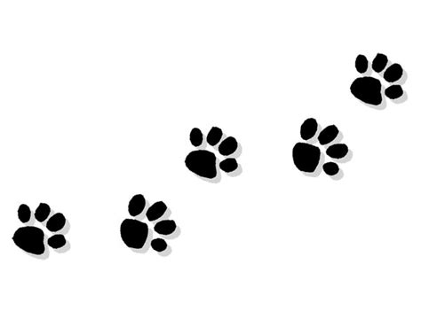 Trail Of Paw Prints Free Download On Clipartmag