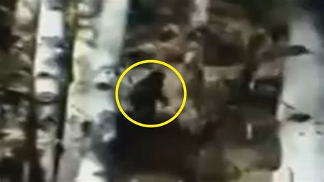 5 Bigfoot Sightings Caught On Camera And Spotted In Real