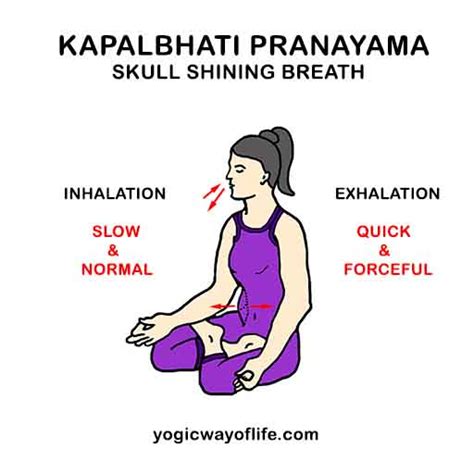 Kapalbhati Pranayama The Skull Shining Breathing Exercise