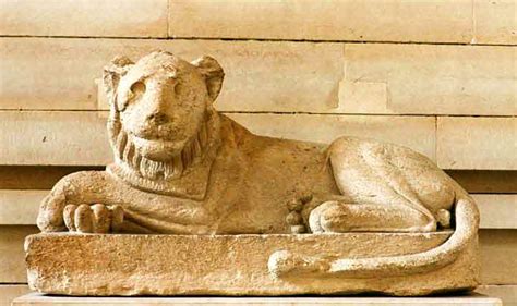 Lions In Stone A Lion In Egypt