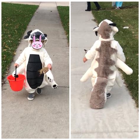 Appa Last Airbender Baby Costume Custom Order For Jen Baby Costumes