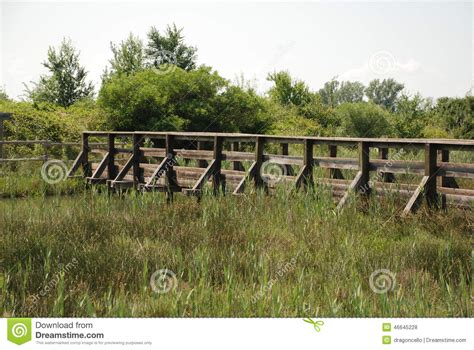 Nature Reserve Walkway Stock Photo Image Of Ground