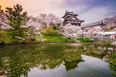 Best Places To See Japans Cherry Blossom This Spring Easyvoyage