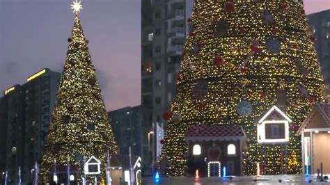 Bengaluru Indias Tallest 100 Feet Christmas Tree Set Up In Bengaluru