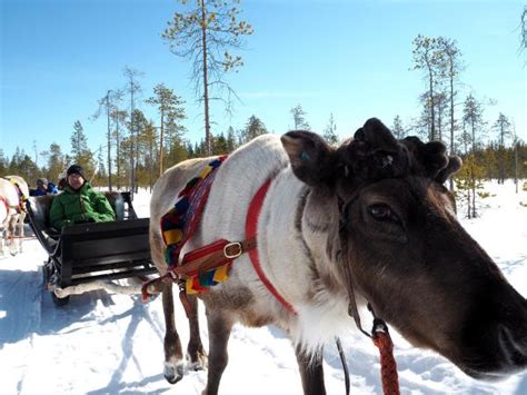 Lapland Vacation By Rail Responsible Travel