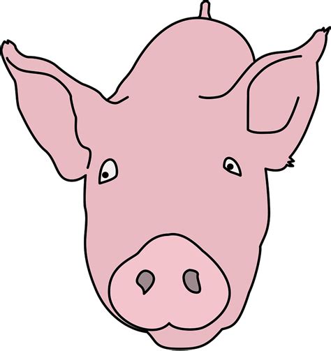 Pig Clipart Free Download Transparent Png Creazilla