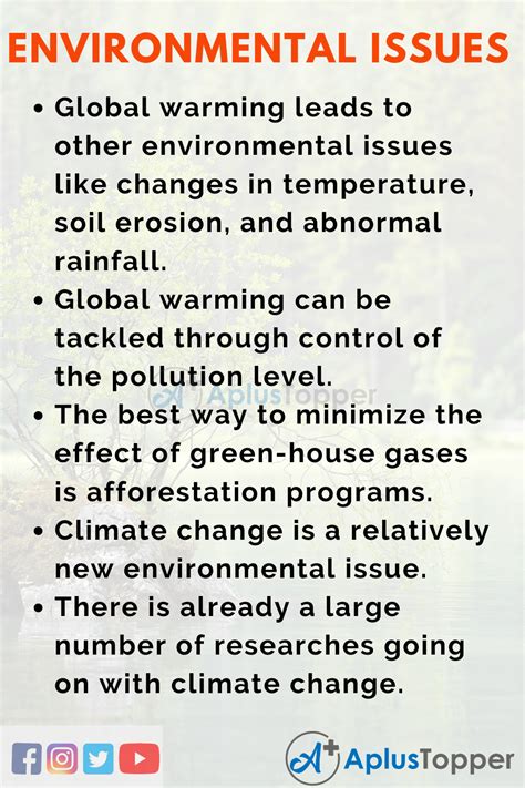 Essay On Environmental Issues Environmental Issues Esssay For