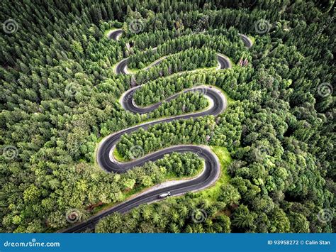 Winding Road In The Forest Stock Photo Image Of Avenue 93958272