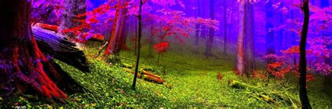 Twitter Headers Nature 1500x500 Download