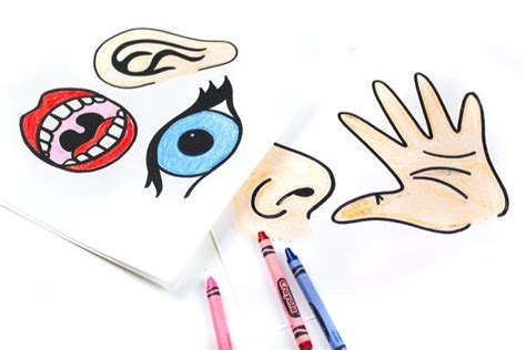 This site offers valuable content to read while you are wanting to relax. Download These Free Printable 5 Senses For Kids Puppets To ...