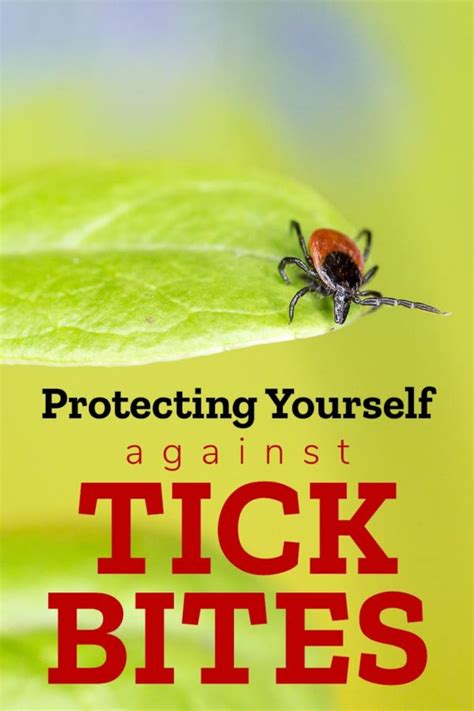 Protecting Yourself Against Tick Bites Trailer Parks Canada