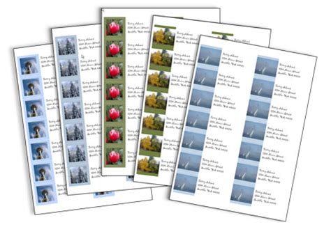 Hazmat packaging, labeling & shipping services. Printable Hazmat Ammunition Shipping Labels - Cdl Manual Online Commercial Driver S License ...