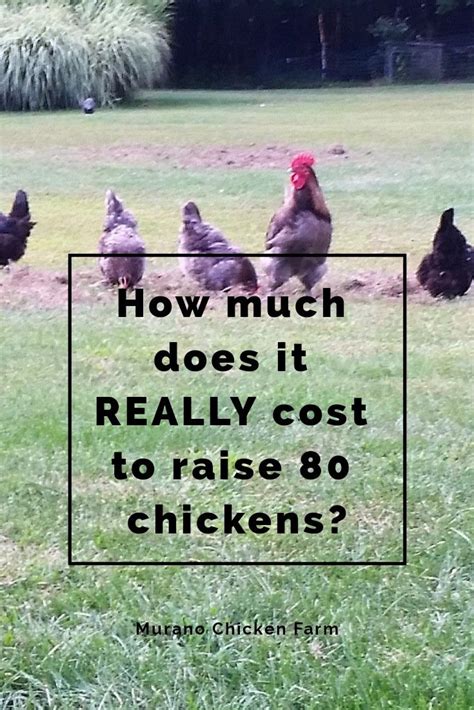 How much does a tune up cost if you prefer doing it in a shop? How much does it cost to raise chickens? | Chickens ...