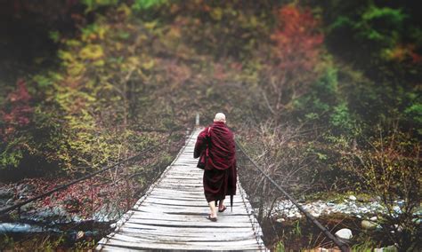 Monk Buddhist Bhikkhu Free Photo On Pixabay Pixabay