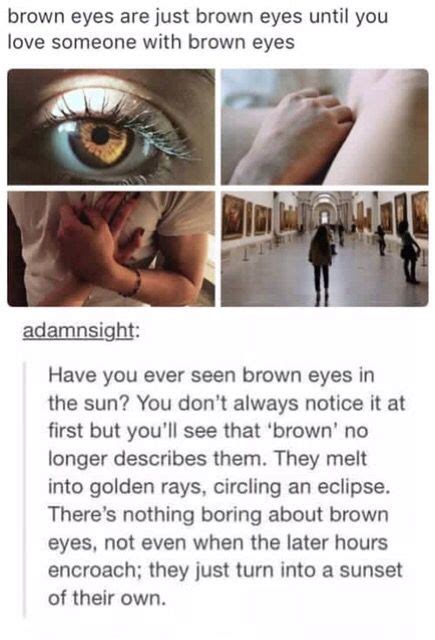 How To Describe Light Brown Eyes