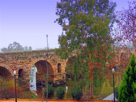 Lines of longitude appear vertical with varying curvature in this projection, but are actually halves of great ellipses, with identical radii at a given latitude. Foto de Mérida (Badajoz), España