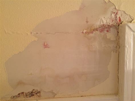 Often the source is from the roof, which makes sense considering all the wear and tear it goes through. What should I use to repair plaster in a bathroom? - Home ...