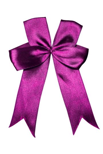 Purple Bow Png Transparent Images Free Download Vector Files Pngtree