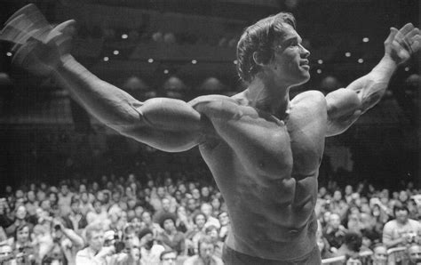 2560x1440 Arnold Schwarzenegger Bodybuilder Athlete Actor