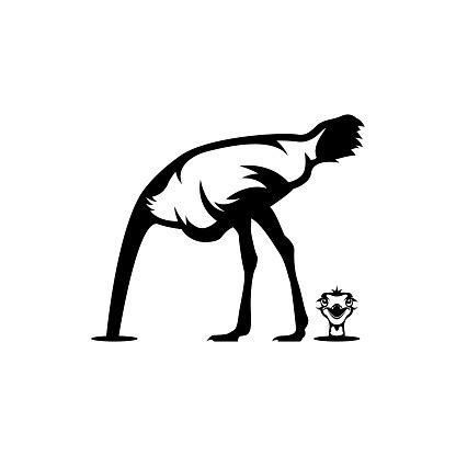 Download Ostrich Silhouette Stock Illustration - Download Image Now ...