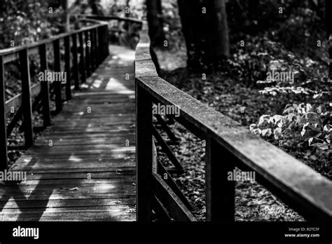 Footbridge Black And White Stock Photos And Images Alamy