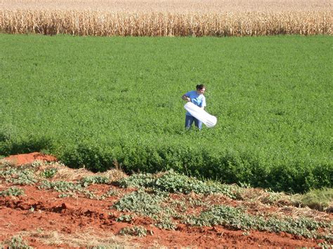Ipm is a three part. Integrated Pest Management | Unit for Environmental ...