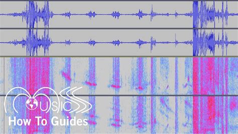 How To Show Spectrograms In Audacity Musics How To Guides Youtube